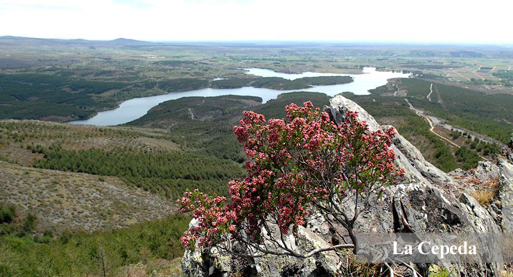 Cuatro Valles - La Cepeda - Cueto San Bartolo Villameca